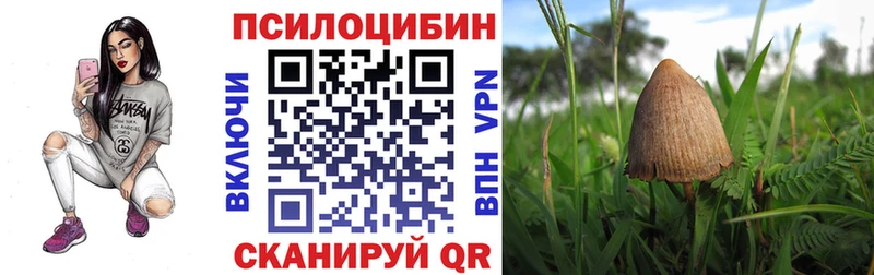 Галлюциногенные грибы MAGIC MUSHROOMS  Лихославль 